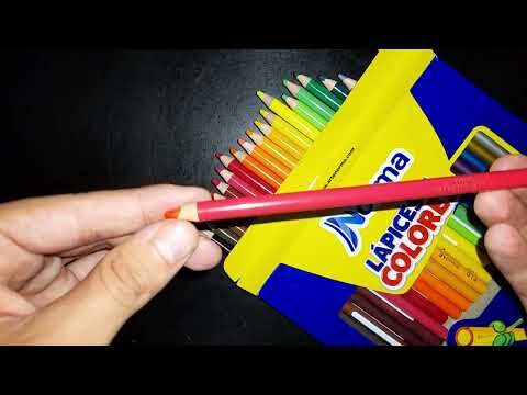 Las mejores marcas de colores escolares