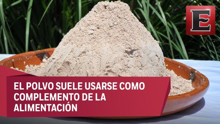 El pinole: mito o realidad sobre su efecto en el peso