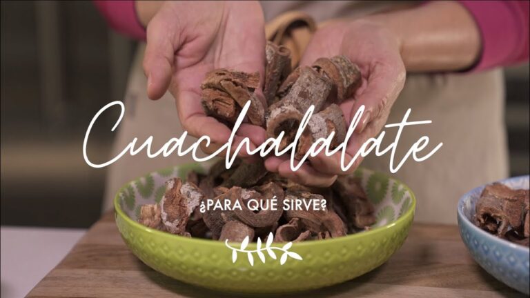 Los beneficios del cuachalalate en té.