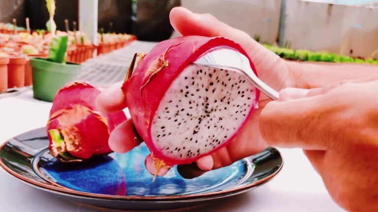 Gu&iacute;a r&aacute;pida: C&oacute;mo pelar una pitahaya
