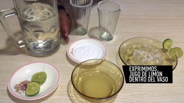 Guía Práctica para Hacer Agua Mineral Casera