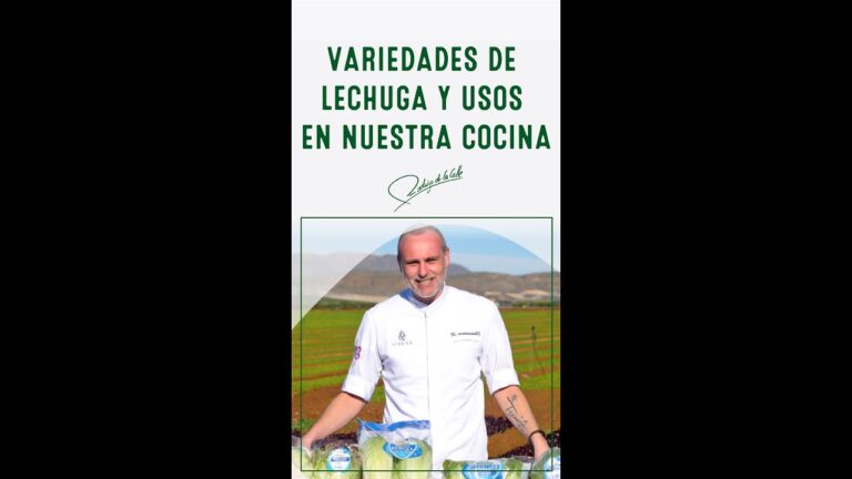 Guía de Clases de Lechugas para Ensaladas