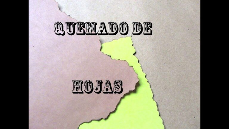 C&oacute;mo quemar papel de forma segura en casa