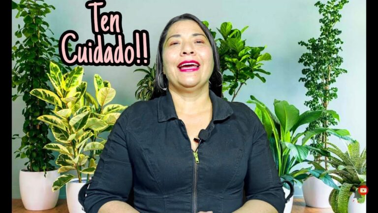 Cinco plantas negativas para tu hogar