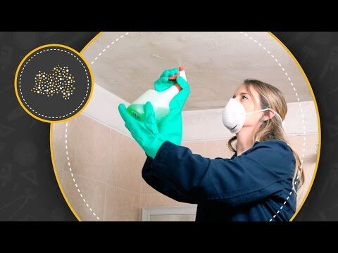 Eliminar hongos del techo del ba&ntilde;o: Gu&iacute;a completa