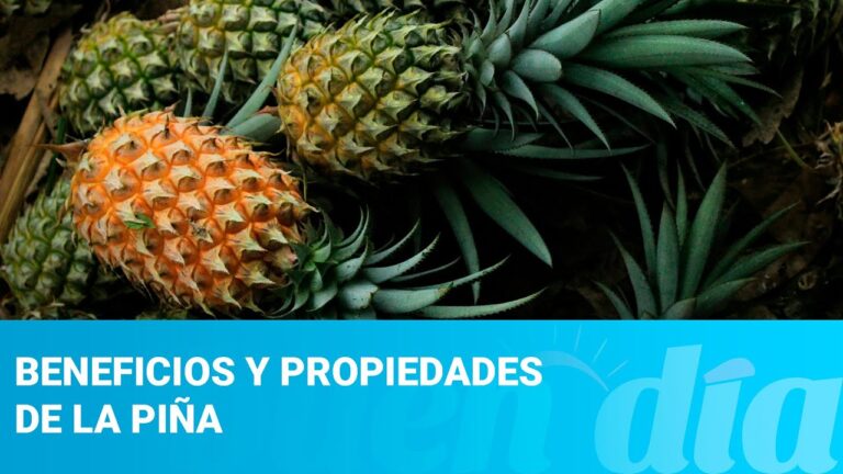 Beneficios de la piña para la salud de las mujeres | Actualizado abril 2026