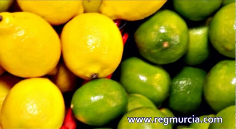 El limón: ¿Fruta o Verdura?