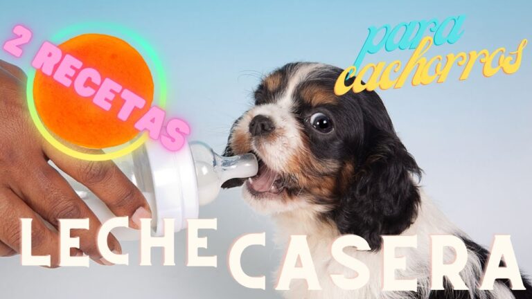 Fórmula Casera para Leche de Cachorros