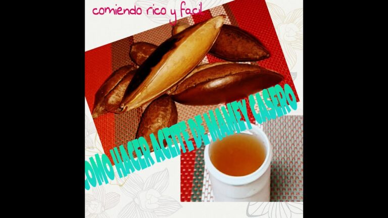 Receta casera para hacer aceite de mamey para el cabello