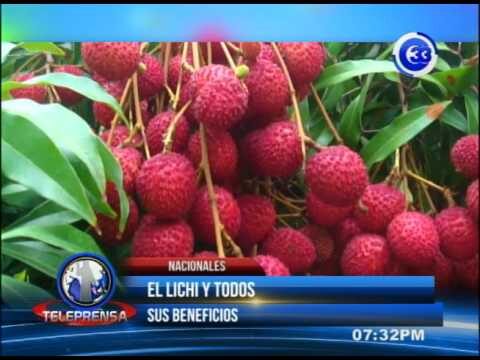 Beneficios de la lichis: Para qué sirve esta fruta