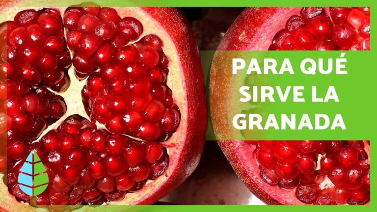 Beneficios de la granada roja: para qué sirve y cómo aprovecharla