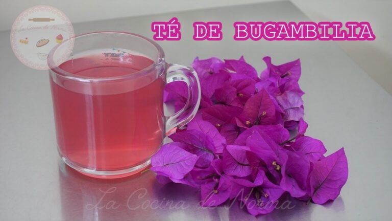 Preparación de la bugambilia: Guía fácil y efectiva | Actualizado