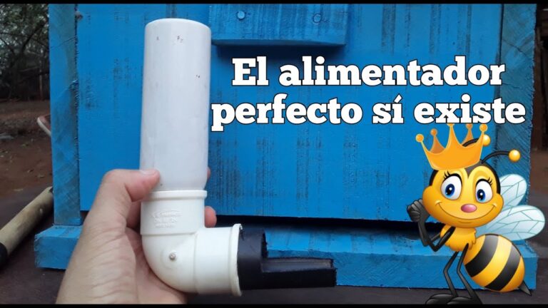 Cómo Construir un Comedero Eficaz para Abejas