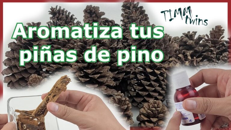 Aromatizante de Pino: Frescura Natural en tu Hogar