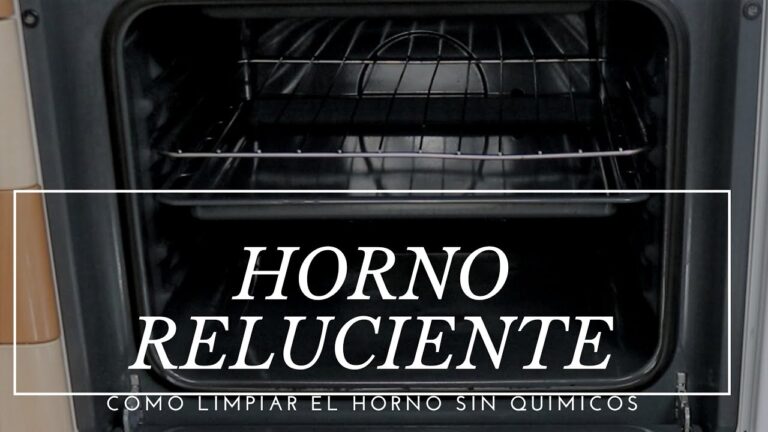 Guía Práctica para Limpiar el Horno de la Estufa