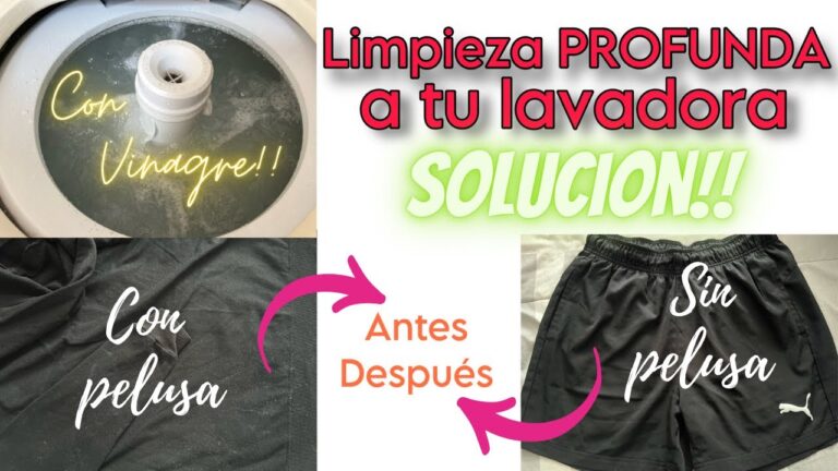 C&oacute;mo eliminar la pelusa de la lavadora eficazmente