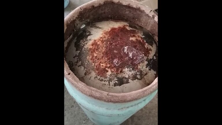 Guía Práctica para Reparar un Tanque de Gas Picado