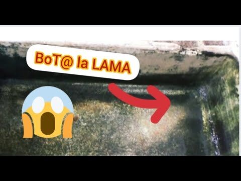 C&oacute;mo eliminar la lama de una pila eficientemente