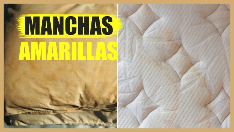 Cómo Eliminar Manchas Amarillas de Sudor del Colchón