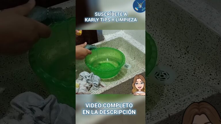 Estrategias Efectivas para Eliminar el Mal Olor del Trapeador