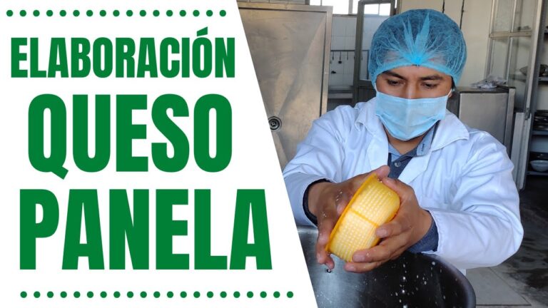 El Arte del Procedimiento del Queso Panela
