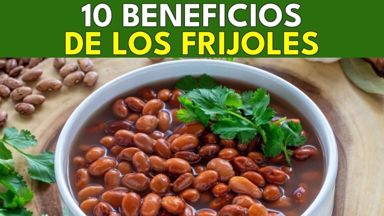 10 Beneficios Sorprendentes del Frijol