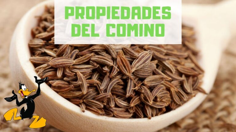 10 Beneficios Sorprendentes del Comino