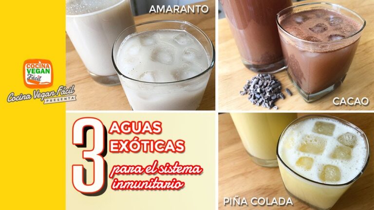 Descubre las Aguas de Sabores Exóticos