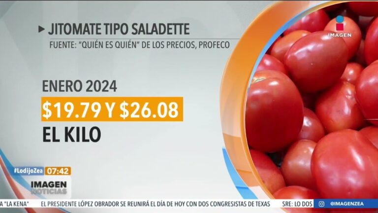 ¿Cuál es el Precio del Jitomate Hoy en la Central de Abastos? Receta