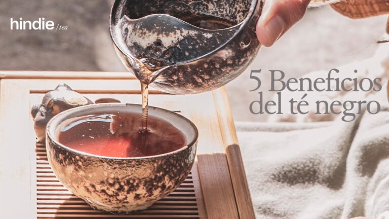 Descubriendo el Te Negro: Beneficios y Variedades