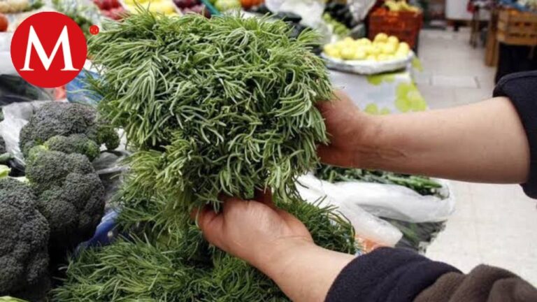 Descubre qu&eacute; son los romeritos navide&ntilde;os