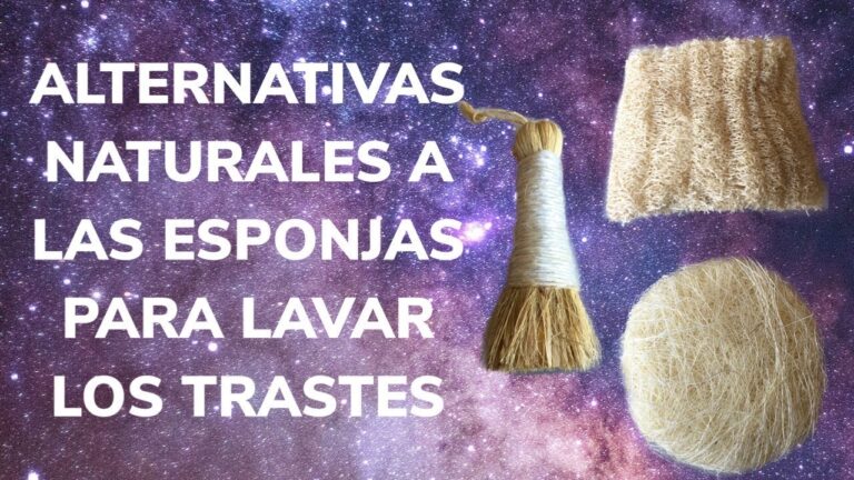 Eficiencia y Beneficios del Zacate para Trastes