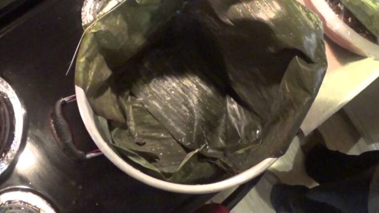 Tiempo de Cocción Ideal para Barbacoa en Vaporera