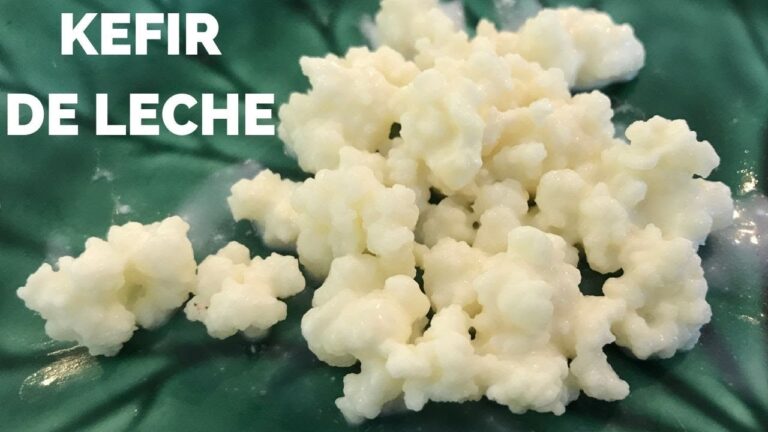 Guía Práctica para Hacer Bacilos Búlgaros