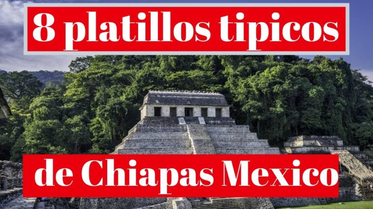 Descubre la Gastronomía de Chiapas: Recetas Auténticas y Deliciosas ...