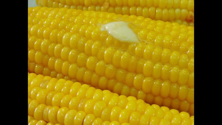 Calorías en elote preparado: ¿Cuántas son?