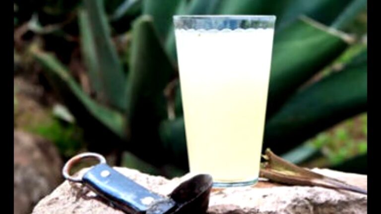 Beneficios y Usos del Pulque
