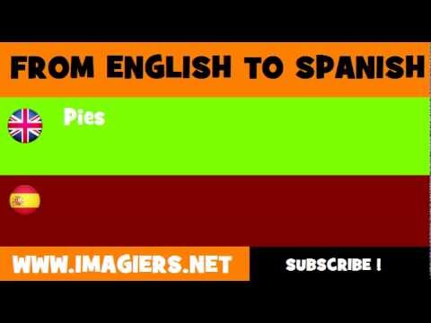 Empanada: La Delicia Internacional en Ingl&eacute;s