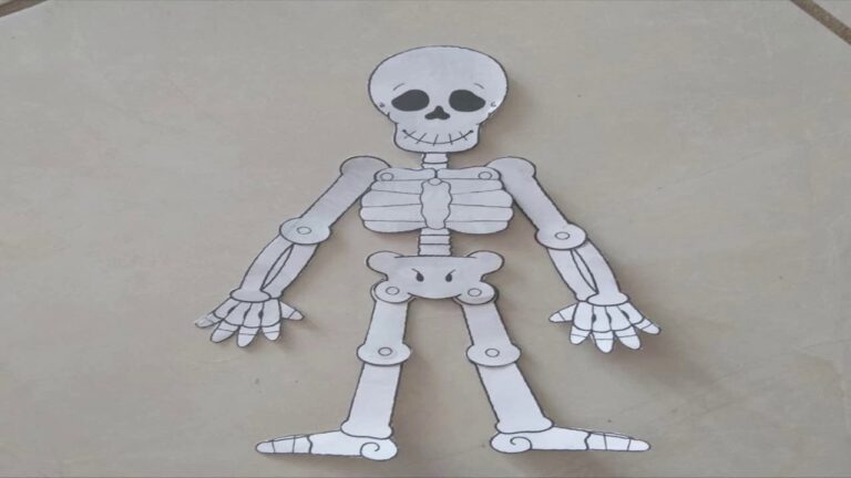 Guía Práctica para Armar una Calavera