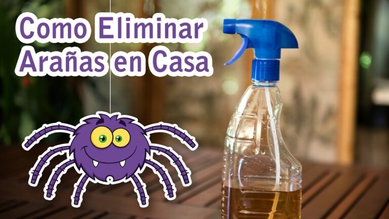 Cómo Deshacerse de Arañas y Telarañas en Casa