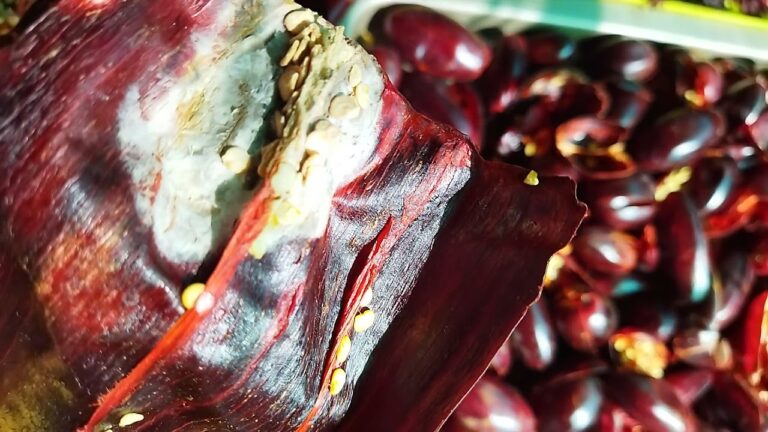 Deliciosos Chiles Secos con Moho: Receta, Beneficios y Cómo Usarlos en ...