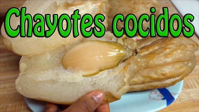 Guía para Cocer Chayote Perfectamente