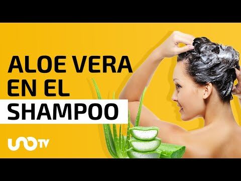 Beneficios de la sábila para el cabello