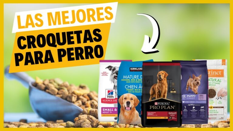 Las Mejores Marcas Mexicanas de Croquetas para Perros