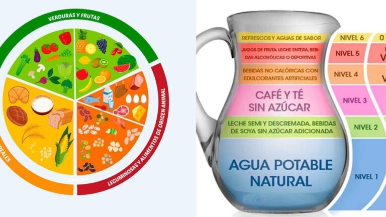 La Jarra del Buen Comer: Guía Esencial de Alimentación Saludable