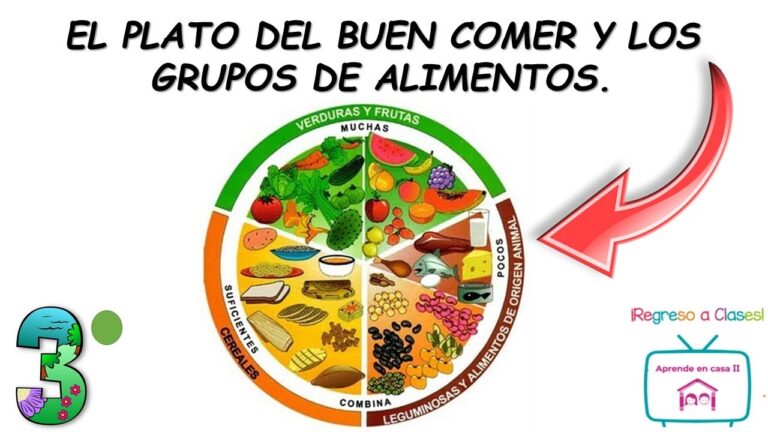 Clasificación del Plato del Buen Comer: Guía Esencial para una Alimentación Saludable