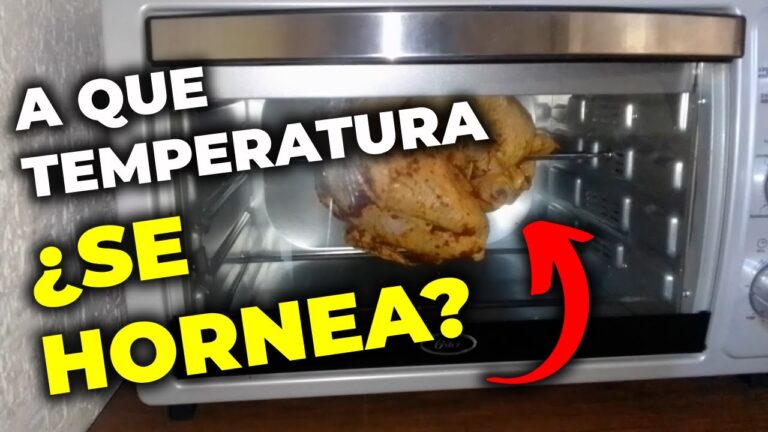La Temperatura Ideal para Hornear Pollo