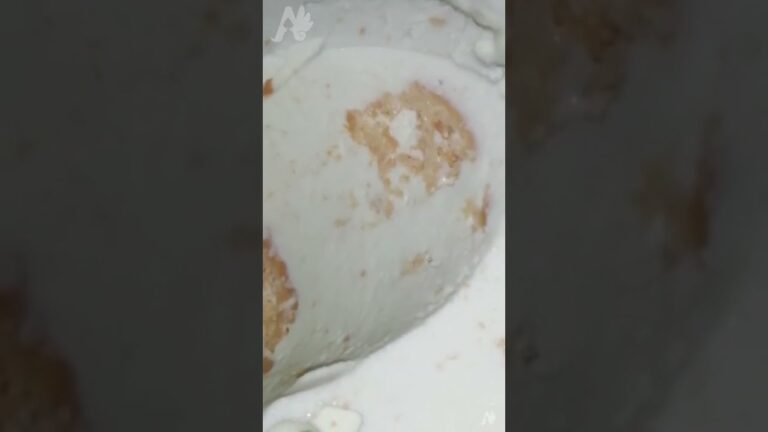 Deliciosa Nieve de Lim&oacute;n al Estilo Holanda