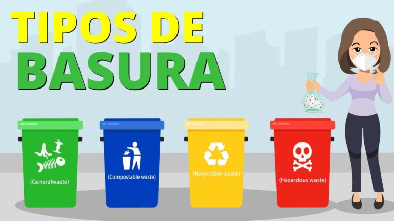 Guía Práctica para Dividir la Basura Correctamente