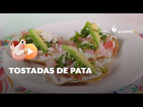 Cómo Preparar Pata para Tostadas Perfectas